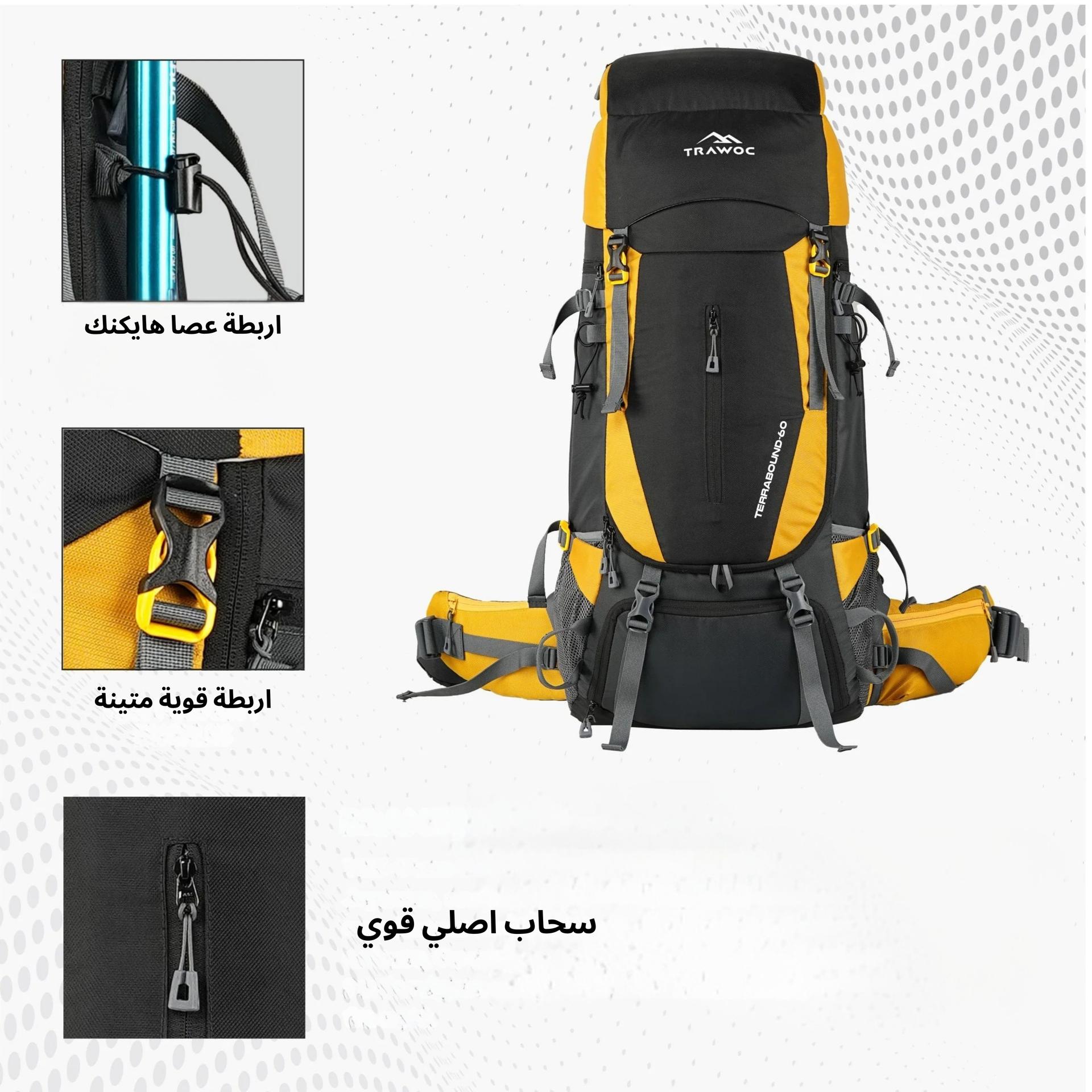 صورة 2
